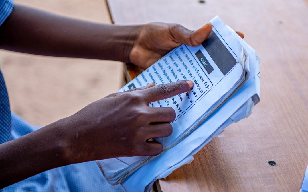 Opinion: Why foundational skills are vital to close the literacy gap